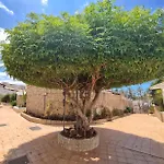 Modern 1 Bedroom Apartment With Terrace And Ac Near Beach In Las Americas * Arona (Tenerife)